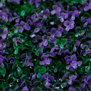 Suministros de jardín pared verde Artificial <span class=keywords><strong>Vertical</strong></span> colgante al aire libre jardín pared placas - Product Image 3