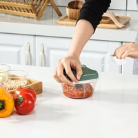 Hete Aanbieding Vierkante Handmatige Voedselhakker van RVS, Handbediende Knoflookpers, Groentehakker