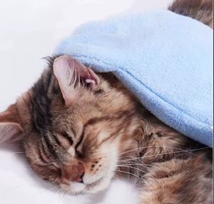 Gant de séchage pour animaux de compagnie en microfibre à motif de patte mignon, super absorbant, pour le bain, vente en gros - Product Image 3