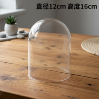 Cúpula Acrílica Transparente para Flores Preservadas, Semicircular, Moldeada por Soplado, con Cubierta de PET a Prueba de Polvo, para Flores Secas, Manualidades DIY
