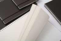 Hochwertiges Papier A4 A5 A6 B6 Gedruckte leere Spirale Loseblatt-Notizbücher im Großhandel
