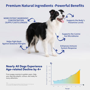 Pet Health Care integratori multivitaminici mastica prodotti per animali domestici Top Multivitman per cani e gatti Pet nutrizione vitamina - Product Image 2