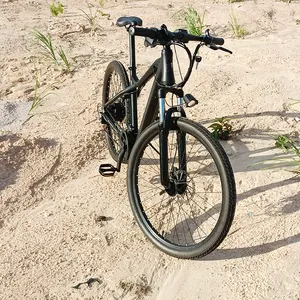 Freego OEM מותאם אישית חשמלי אופני 26 "גדול צמיג דיסק בלם Moutain אופני אופניים למבוגרים
