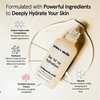 OEM/ODM pelembap hidrasi Serum asam hialuronat Anti Penuaan Label pribadi kustom untuk target wajah kerutan garis halus