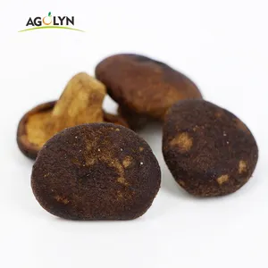 Agolyn vakum goreng shiitake jamur makanan ringan sehat vf shiitakes chip