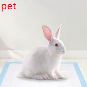 Nouvelle Offre 2026 : Tapis d'Entraînement pour Chiots en Coton Blanc avec Film PE, Super Absorbants, Marque Japonaise SAP, Écologiques, Taille 60*60cm - Product Image 6