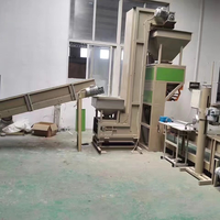 20kg 25kg 50kg Wiege- und Verpackungsmaschine für Nüsse, Erdnüsse, Reis, Getreide, Mais, Bohnen, Granulat mit Füll- und Nähfunktion