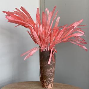 ดอกไม้โดลิโชส <span class=keywords><strong>ลาบ</strong></span><span class=keywords><strong>ลาบ</strong></span> แบบคงรูป ขายดี เหมาะสำหรับตกแต่งงานแต่งงาน ตกแต่งสำนักงาน และเป็นของขวัญวันเกิด - Product Image 5