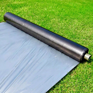 Películas de acolchado agrícola de LDPE de fábrica, estabilizadas con protección UV, para control de la humedad y retención de humedad en hortalizas y frutas. - Product Image 1