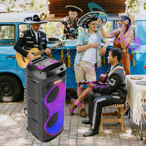 Équipement audio professionnel DR-6618, double haut-parleur de 6,5 pouces pour enceintes portables Bluetooth - Product Image 6