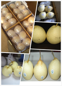Pêres Ya chinoises fraîches de haute qualité, sucrées et juteuses, fournisseur en gros pour l'exportation - Product Image 6