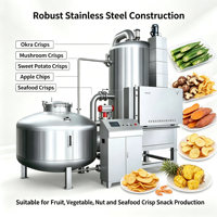 Friteuse à basse température REALDOT pour usage commercial, machine à frire les fruits et légumes pour la production de snacks