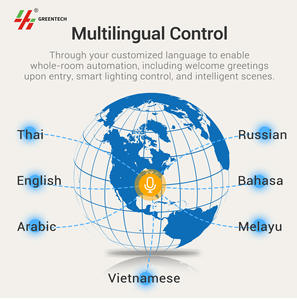 Greentech Sistema inteligente de unidad de control de habitación de hotel Automatización de hotel inteligente Sistema de gestión de invitados de hotel bruja RCU Host - Product Image 6