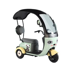 Nouveau style de haute qualité Mini pousse-pousse électrique Tricycle <span class=keywords><strong>moto</strong></span> EV à trois roues - Product Image 5