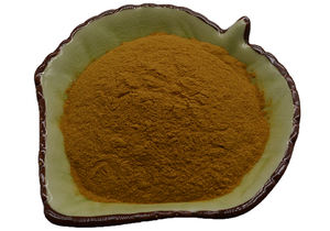 Extrait de graines de lin 40% <span class=keywords><strong>lignanes</strong></span> poudre d'extrait de graines de lin HMR <span class=keywords><strong>Lignanes</strong></span> - Product Image 2