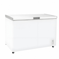 Congélateur horizontal à ouverture supérieure en métal blanc Congélateur commercial profond pour cuisine de restaurant