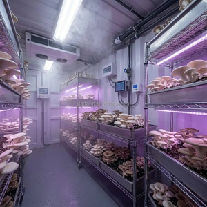 StarFarm Factory OEM Ferme de culture de champignons comestibles en conteneur, alimentée à l'énergie solaire, <span class=keywords><strong>pour</strong></span> huîtres et shiitake - Product Image 2