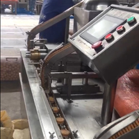 Machine d'emballage automatique entièrement automatique de tri de biscuits de couche de biscuit de gaufrette de sandwich
