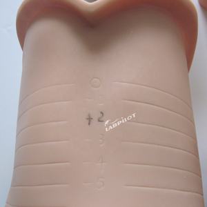 Simulador Avanzado de Cambio Cervical Antes del <span class=keywords><strong>Parto</strong></span>, Dilatación y Efaciación Cervical - Product Image 4