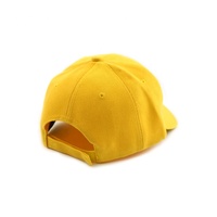 Chapeaux à rabat en coton pour homme, Logo vierge brodé, camionneur, Golf, Baseball