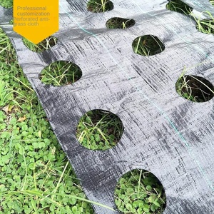 Toile anti-herbe perforée en <span class=keywords><strong>PP</strong></span> noir, pliable, coupe-vent, facile à nettoyer, pour l'horticulture, l'agriculture et le désherbage des vergers - Product Image 6
