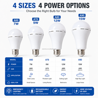 Ampoule LED rechargeable ABS+PC 7W/9W AC 5V avec télécommande pour usage résidentiel et élevage de volailles