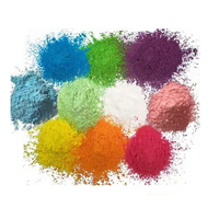 Vente en gros de poudre colorée UV néon non toxique pack personnalisé poudre colorée Holi