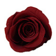 S coeur de pêche simple + vin rouge