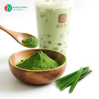 Poudre de Pandan biologique Herbspirit Poudre d'extrait de feuille de Pandan Bonne solubilité dans l'eau Poudre de fruits et légumes naturels