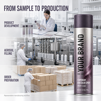 Spray Colorant Capillaire Temporaire Sans Décoloration Qualité Supérieure Rose Vif Bleu Violet Rouge Fournisseur OEM ODM en Gros