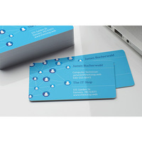 Carte de visite étanche en plastique pvc, impression personnalisée de haute qualité