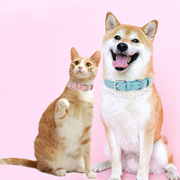 Colliers pour chien en cuir PU souple, boucle à dégagement rapide, pour chiens et chats de petite et moyenne taille, accessoires pour animaux de compagnie, classiques, confortables et réglables
