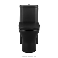 Ensemble d'évier de cuvette de toilette carrée en céramique arabe siphonique moderne de luxe d'une seule pièce avec toilette de couleur noire écologique à double chasse