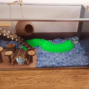 Juguetes de Madera para Hámsteres, Accesorios de Lujo para Animales Pequeños, Ecológicos, para Interiores, Venta al Por Mayor de Fábrica, Alta Calidad - Product Image 2