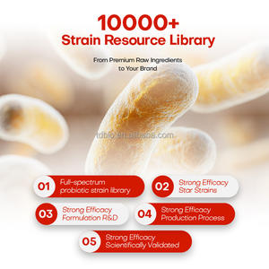 Probiotiques et prébiotiques Capsules probiotiques personnalisées en usine pour adultes OEM/ODM Suppléments nutritionnels Système digestif sain - Product Image 5