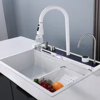 Nouvelle Tendance TikTok : Évier de Cuisine Noir en Acier Inoxydable à Compartiment Unique avec Robinet Double Cascade et Nid d'Abeille Bionique
