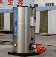Chaudière de chauffage entièrement automatique à gaz basse pression verticale en acier au carbone 200 kg pour chauffage multifonctionnel