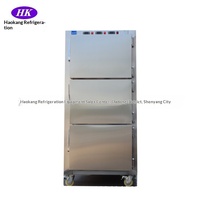 Refrigerador Haokang de Acero Inoxidable 304, Estilo Americano, para Cadáveres, para Uso con Bebés, Capacidad para 3 Cadáveres, -5~-15 °C