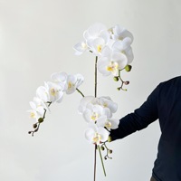 Anggrek Phalaenopsis 'Anna' yang Mirip Asli dengan 7 Bunga Besar, Lembut, dan Menyerupai Karet/PVC, Cocok untuk Meja TV Ruang Tamu yang Elegan