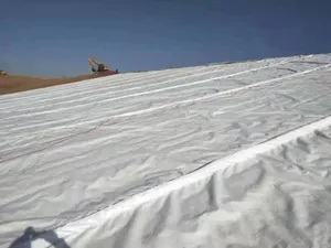 Customized Color Composite Geomembrane Liner High Quality Composite Geomembrane With Non Woven Geotextile For Landfill Liner