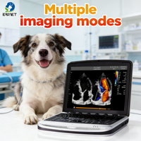 Appareil d'échographie vétérinaire portable EUR VET pour hôpital vétérinaire avec conception légère et imagerie rapide