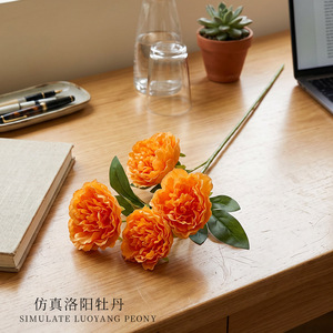 Bouquet de fleurs artificielles en soie Xinchengzhi Luoyang Peony, 30 cm-100 cm, décoration intérieure pour la maison et les mariages - Product Image 5