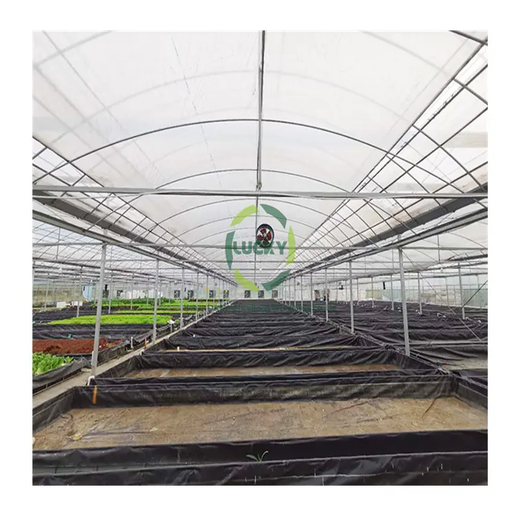Sayuran Tomat Multispan Rumah Hijau Plastik Terowongan Luar Ruangan Harga Pertanian Pc Pertanian Aluminium Rumah Kaca FILM Fram