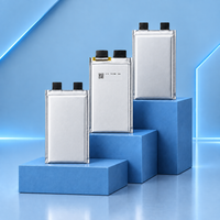 Sel Baterai Semi Solid State Densitas Energi Tinggi 355Wh/kg 22000mAh 3.7V 5C Siap Kirim untuk Drone FPV & Survei