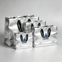 Tas Belanja Kertas Grosir Tas Kado Kertas Mewah Elegan Tas Kertas dengan Logo Anda Sendiri