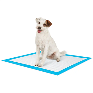 Duftendes Training Pet Pad 36x36 Hunde trainings papier verbessert die Arbeit und Akklimatisierung von Hunde duft - Product Image 4