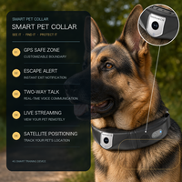 Collier de dressage GPS pour chien avec application, télécommande, clôture électronique, alerte de délimitation, interphone vocal, caméra pour animal de compagnie, visualisation en direct