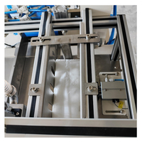 Machine d'emballage automatique de serviettes hygiéniques avec aspiration et ensachage, 6 à 10 pièces par paquet