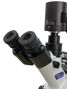 다장면 ECGO 인피니티 광학 시스템을 갖춘 HT-53FL 역 생체 형광 현미경 - Product Image 5