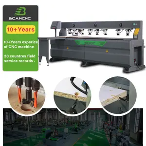 Chế Biến Gỗ Side Khoan Lỗ Cnc Máy Gỗ Side Lỗ Khoan Máy Cho Nội Thất Tủ Bếp Làm BCAMCNC Nhà Máy